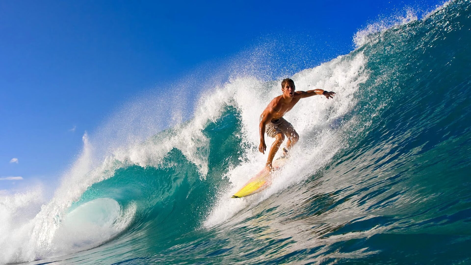 橙色风暴席卷东瀛，德里赫特一锤定音，哥伦比亚狂胜日本背后的战术革命