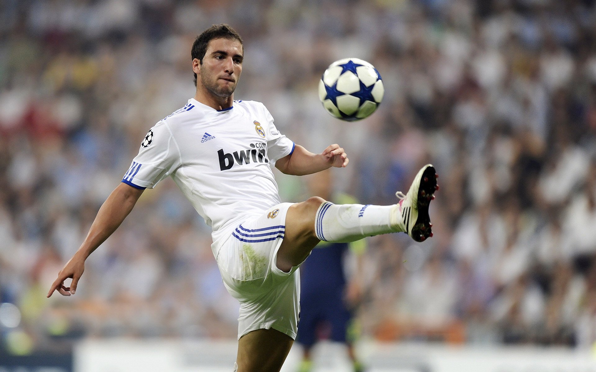 从布鲁诺爆发到塞内加尔晋级，AC米兰的非洲力量觉醒之路